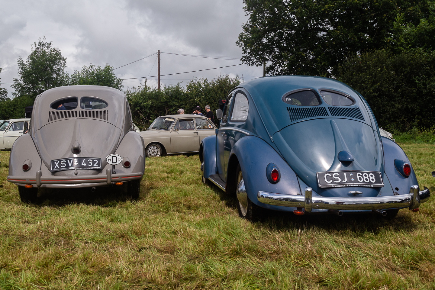 1952 and 1953 Volkswagens parked together in field